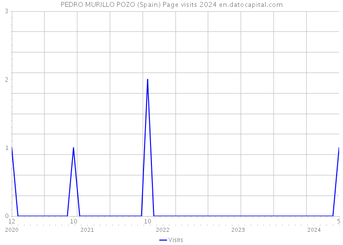 PEDRO MURILLO POZO (Spain) Page visits 2024 