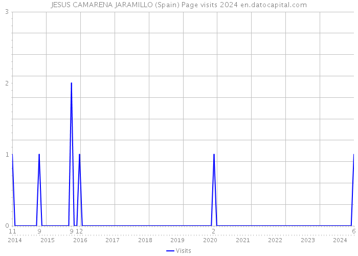 JESUS CAMARENA JARAMILLO (Spain) Page visits 2024 
