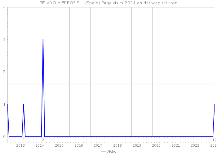 PELAYO HIERROS S.L. (Spain) Page visits 2024 