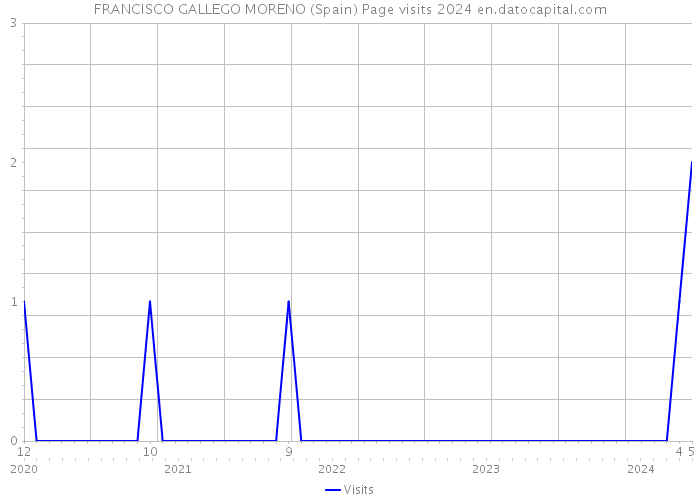 FRANCISCO GALLEGO MORENO (Spain) Page visits 2024 