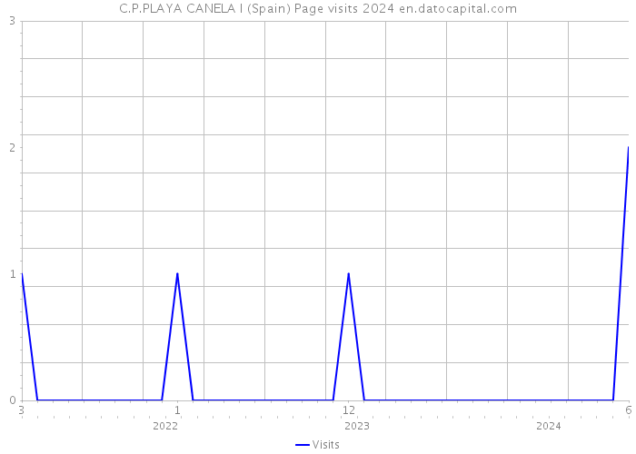 C.P.PLAYA CANELA I (Spain) Page visits 2024 