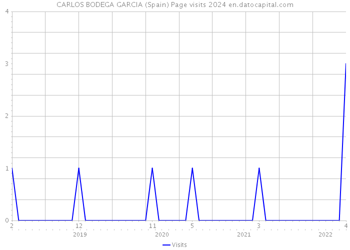 CARLOS BODEGA GARCIA (Spain) Page visits 2024 