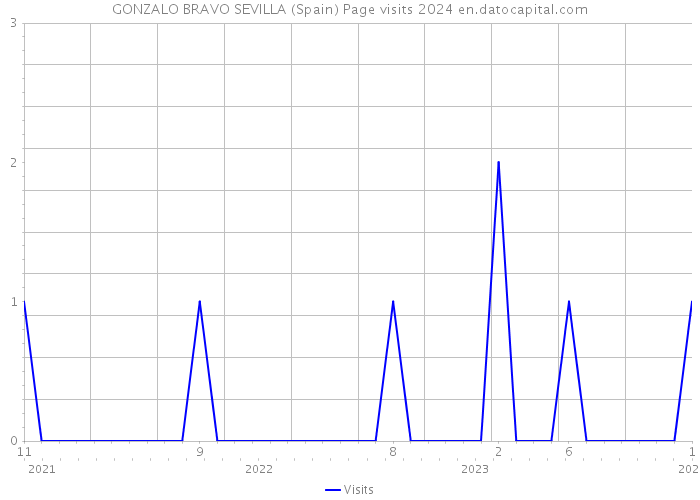 GONZALO BRAVO SEVILLA (Spain) Page visits 2024 