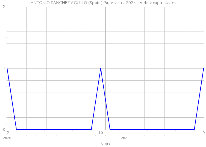 ANTONIO SANCHEZ AGULLO (Spain) Page visits 2024 