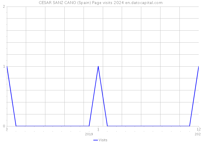 CESAR SANZ CANO (Spain) Page visits 2024 