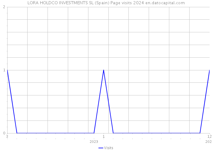 LORA HOLDCO INVESTMENTS SL (Spain) Page visits 2024 