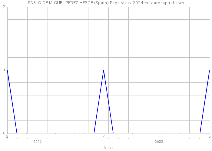 PABLO DE MIGUEL PEREZ HERCE (Spain) Page visits 2024 