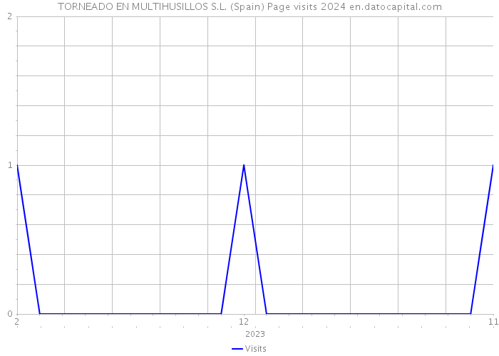 TORNEADO EN MULTIHUSILLOS S.L. (Spain) Page visits 2024 