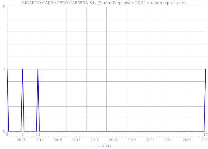 RICARDO CARRACEDO CABRERA S.L. (Spain) Page visits 2024 
