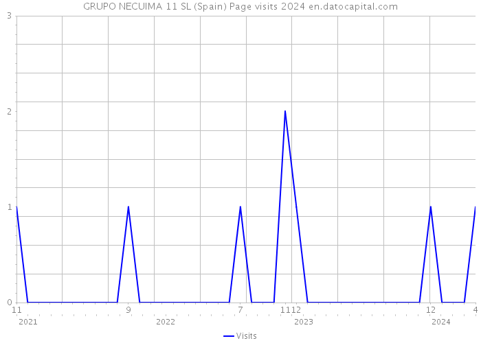 GRUPO NECUIMA 11 SL (Spain) Page visits 2024 