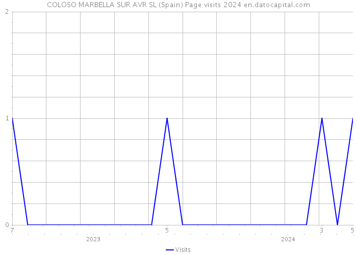 COLOSO MARBELLA SUR AVR SL (Spain) Page visits 2024 