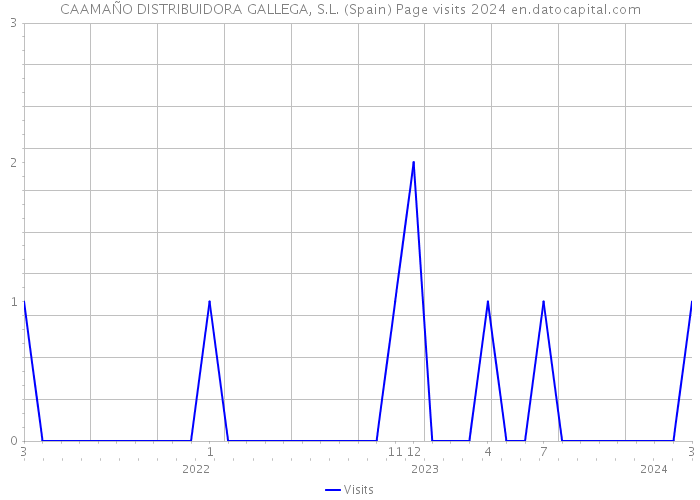 CAAMAÑO DISTRIBUIDORA GALLEGA, S.L. (Spain) Page visits 2024 