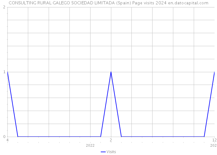 CONSULTING RURAL GALEGO SOCIEDAD LIMITADA (Spain) Page visits 2024 