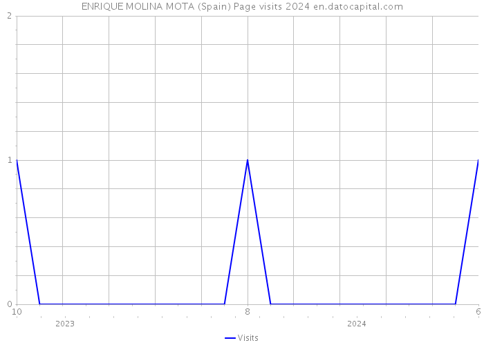 ENRIQUE MOLINA MOTA (Spain) Page visits 2024 