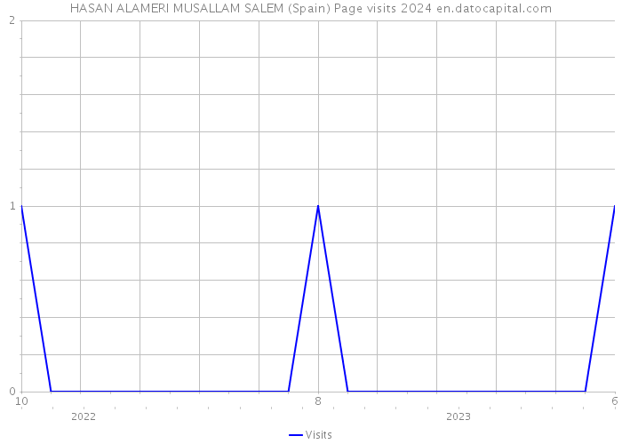 HASAN ALAMERI MUSALLAM SALEM (Spain) Page visits 2024 