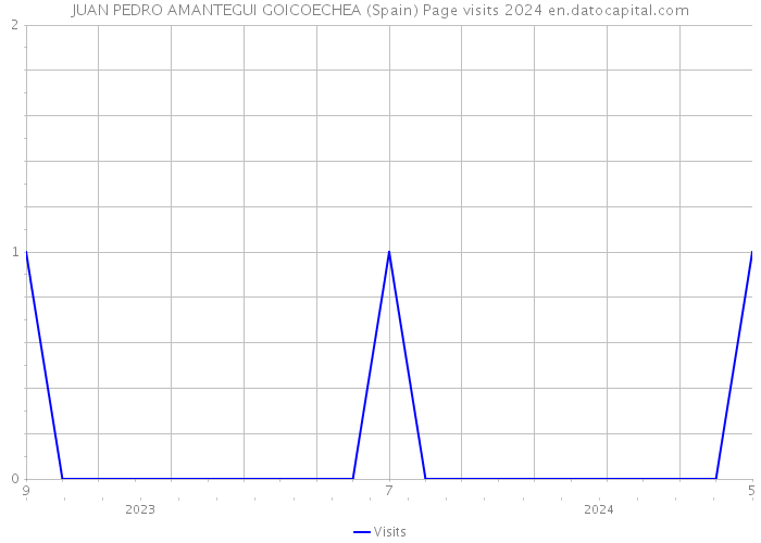 JUAN PEDRO AMANTEGUI GOICOECHEA (Spain) Page visits 2024 