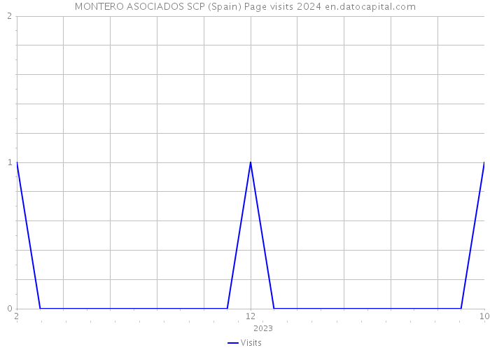 MONTERO ASOCIADOS SCP (Spain) Page visits 2024 