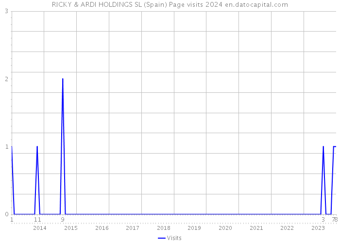 RICKY & ARDI HOLDINGS SL (Spain) Page visits 2024 