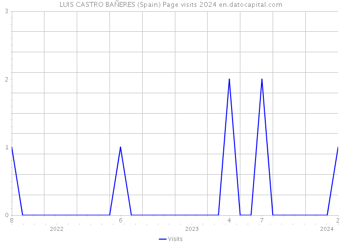 LUIS CASTRO BAÑERES (Spain) Page visits 2024 