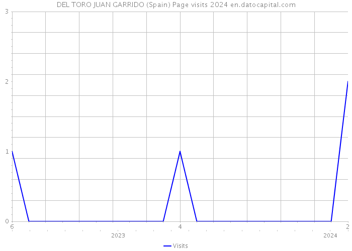 DEL TORO JUAN GARRIDO (Spain) Page visits 2024 