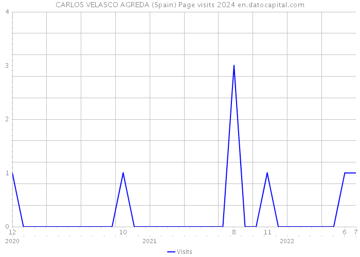 CARLOS VELASCO AGREDA (Spain) Page visits 2024 