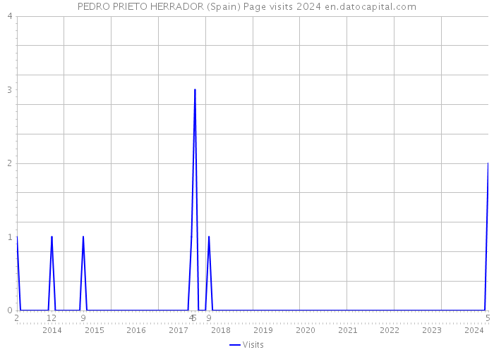PEDRO PRIETO HERRADOR (Spain) Page visits 2024 