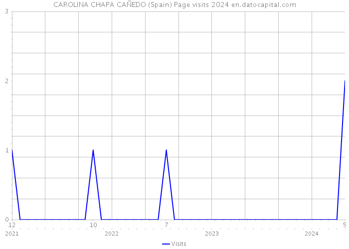 CAROLINA CHAPA CAÑEDO (Spain) Page visits 2024 