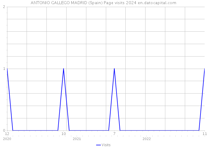 ANTONIO GALLEGO MADRID (Spain) Page visits 2024 