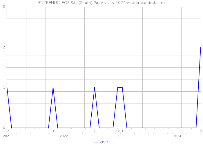 ENTRENUCLEOS S.L. (Spain) Page visits 2024 