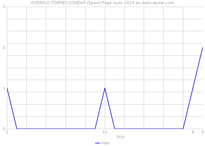 RODRIGO TORRES GONDAR (Spain) Page visits 2024 