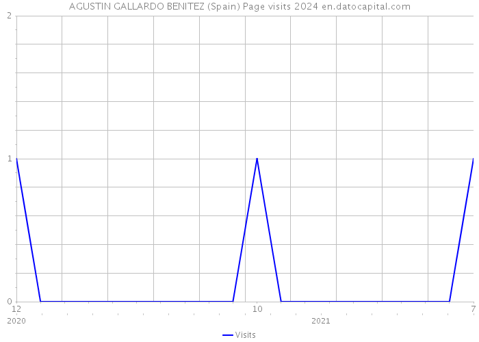 AGUSTIN GALLARDO BENITEZ (Spain) Page visits 2024 