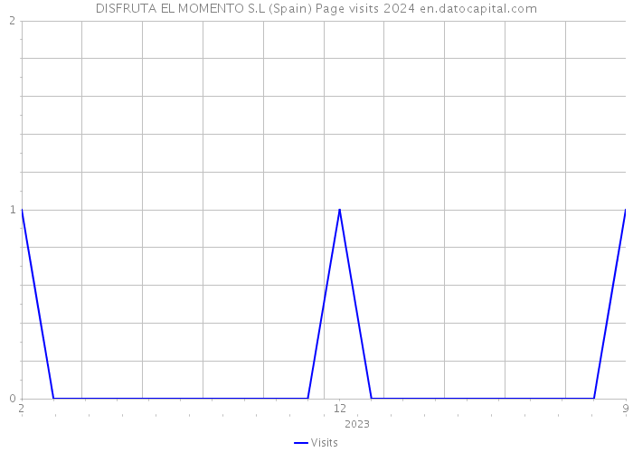 DISFRUTA EL MOMENTO S.L (Spain) Page visits 2024 