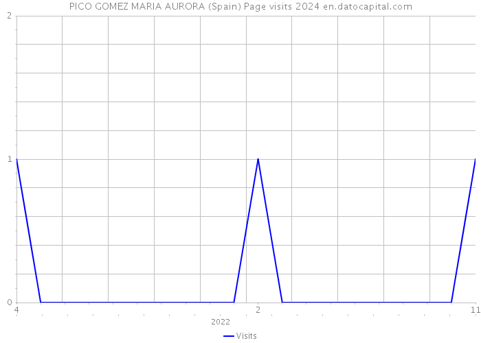 PICO GOMEZ MARIA AURORA (Spain) Page visits 2024 