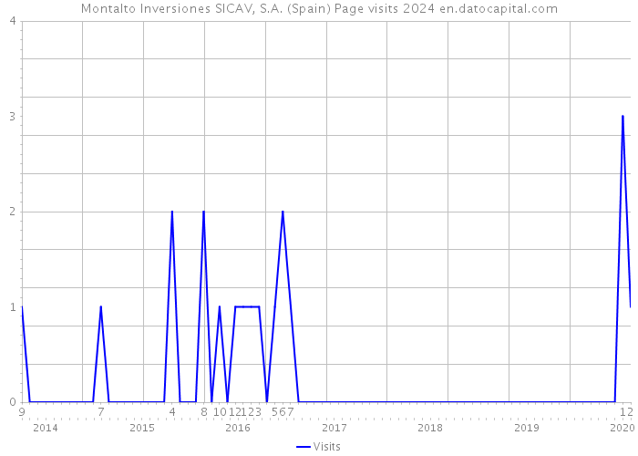 Montalto Inversiones SICAV, S.A. (Spain) Page visits 2024 