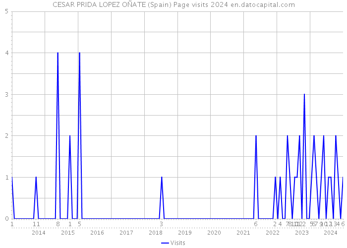 CESAR PRIDA LOPEZ OÑATE (Spain) Page visits 2024 