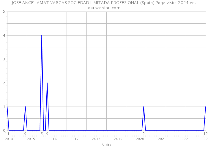 JOSE ANGEL AMAT VARGAS SOCIEDAD LIMITADA PROFESIONAL (Spain) Page visits 2024 