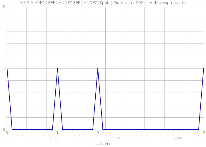 MARIA AMOR FERNANDEZ FERNANDEZ (Spain) Page visits 2024 