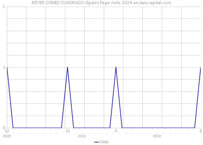 REYES GOMEZ CUADRADO (Spain) Page visits 2024 