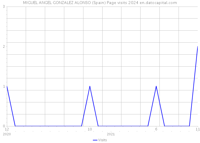 MIGUEL ANGEL GONZALEZ ALONSO (Spain) Page visits 2024 