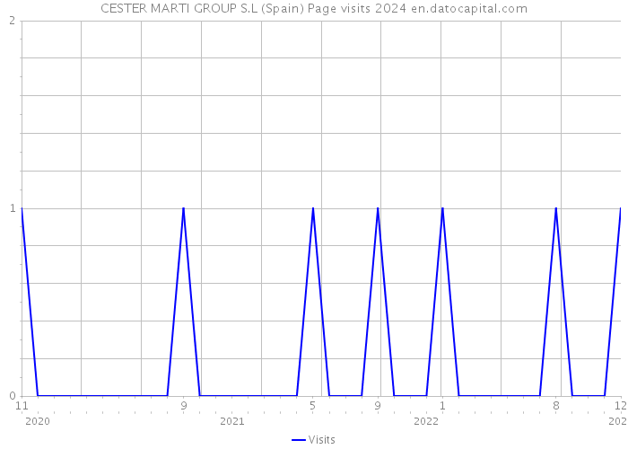 CESTER MARTI GROUP S.L (Spain) Page visits 2024 