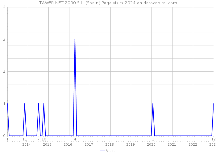 TAWER NET 2000 S.L. (Spain) Page visits 2024 