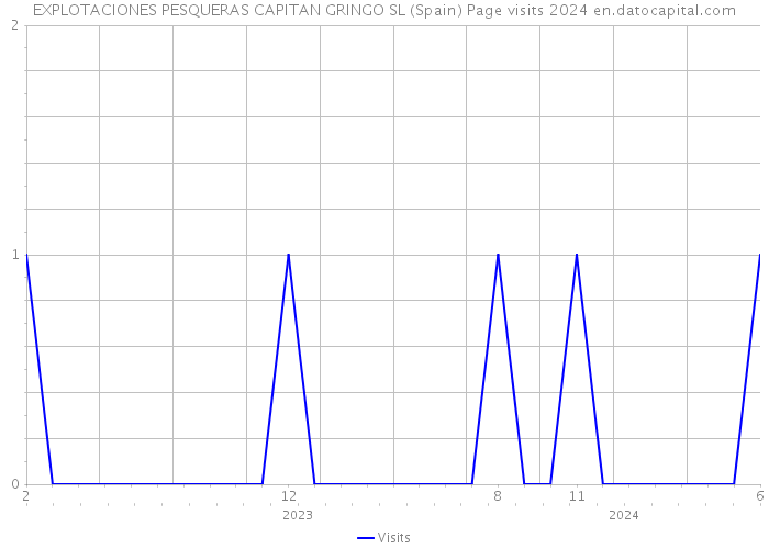 EXPLOTACIONES PESQUERAS CAPITAN GRINGO SL (Spain) Page visits 2024 