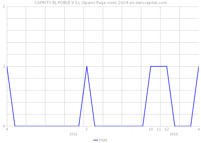 CAPRITX EL POBLE 9 S.L (Spain) Page visits 2024 
