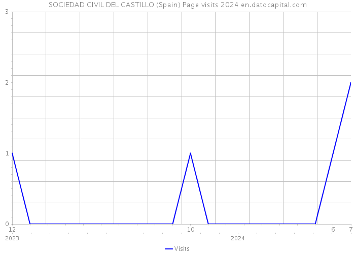 SOCIEDAD CIVIL DEL CASTILLO (Spain) Page visits 2024 