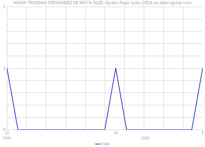 MARIA TRINIDAD FERNANDEZ DE MOYA SILES (Spain) Page visits 2024 