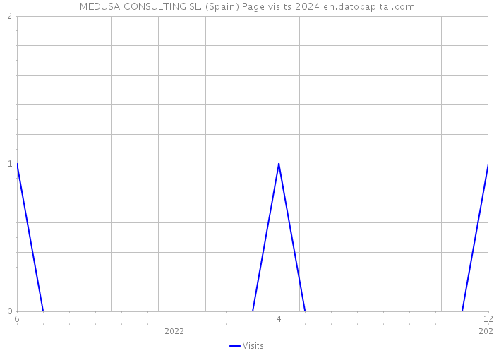MEDUSA CONSULTING SL. (Spain) Page visits 2024 