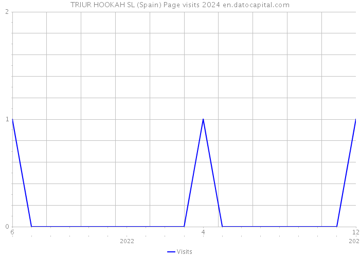 TRIUR HOOKAH SL (Spain) Page visits 2024 