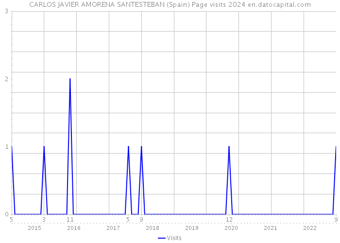 CARLOS JAVIER AMORENA SANTESTEBAN (Spain) Page visits 2024 