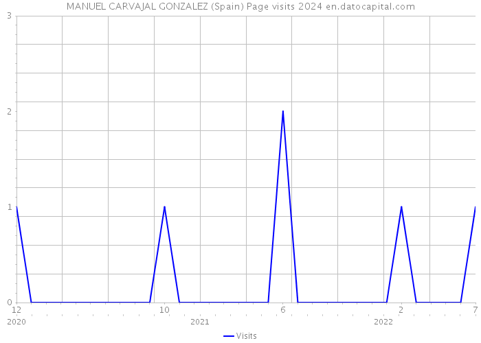 MANUEL CARVAJAL GONZALEZ (Spain) Page visits 2024 