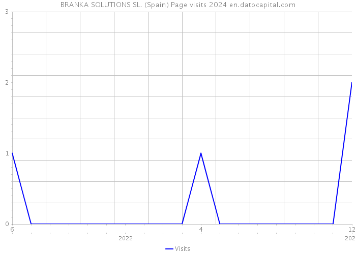 BRANKA SOLUTIONS SL. (Spain) Page visits 2024 